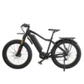 2018 Popular Fat Tire Electric Bicycle with Good Quality